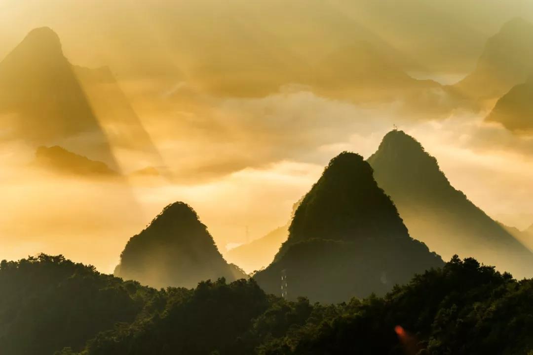 微信图片_20191111121634.jpg
